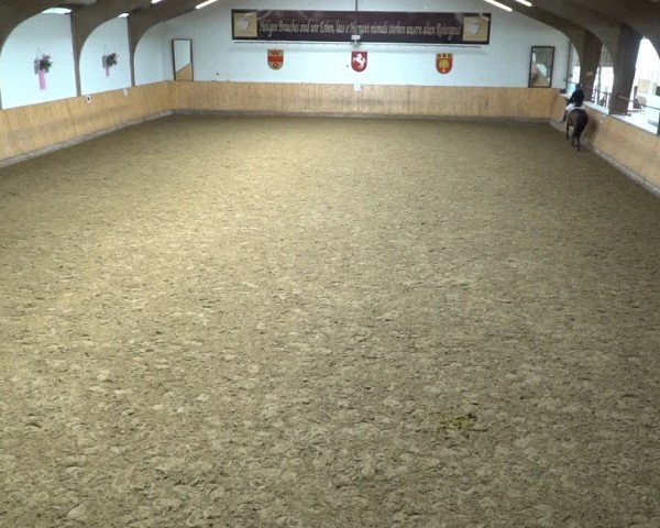 Reitturnier Olfen-Vinnum 2024