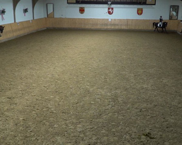 Reitturnier Olfen-Vinnum 2024