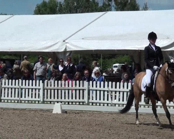 Reitturnier Düren 2013