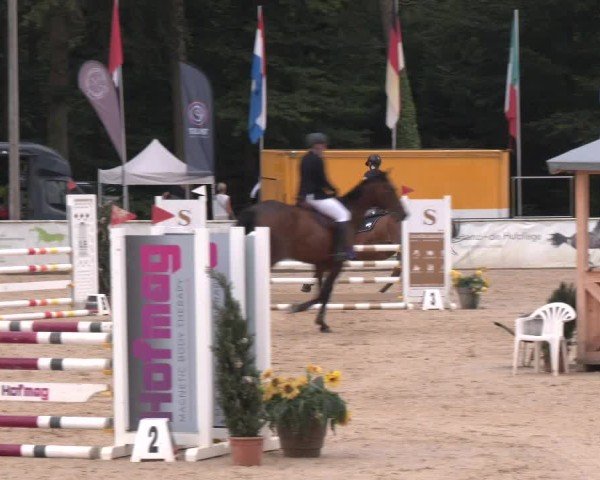 Reitturnier Ranshofen - Braunau am Inn 2024