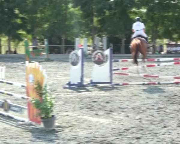 Reitturnier Horitschon 2024