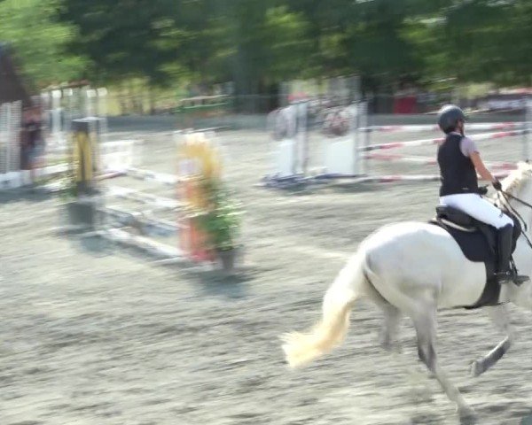 Reitturnier Horitschon 2024