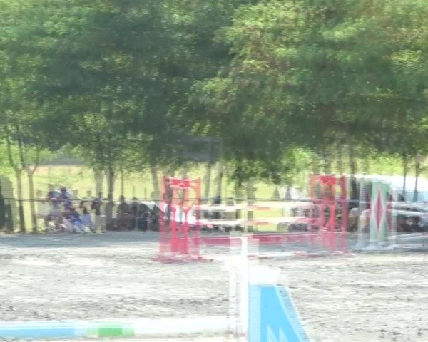 Reitturnier Horitschon 2024