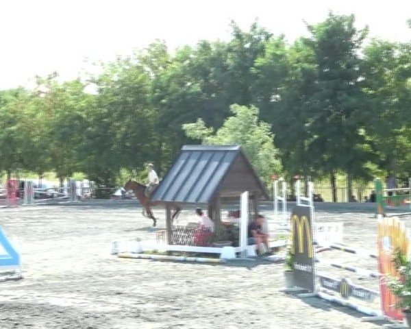 Reitturnier Horitschon 2024