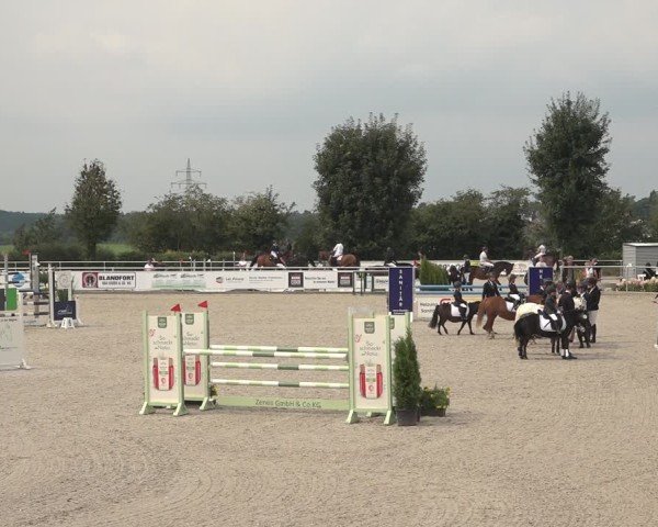 Reitturnier Stolberg-Büsbach 2024