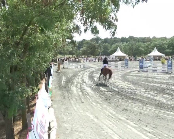 Reitturnier Horitschon 2024