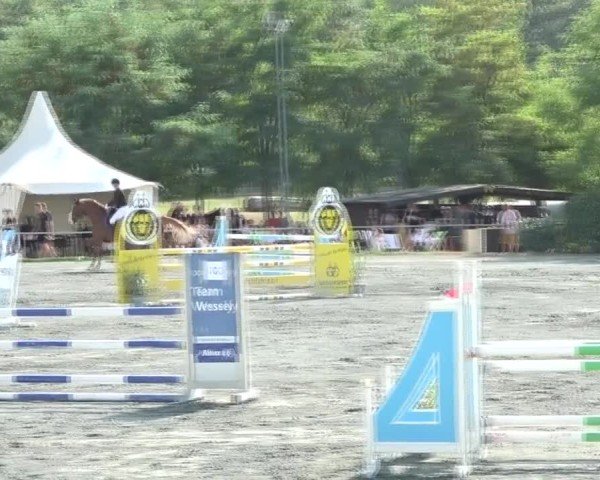Reitturnier Horitschon 2024