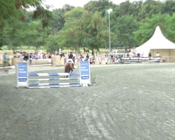 Reitturnier Horitschon 2024