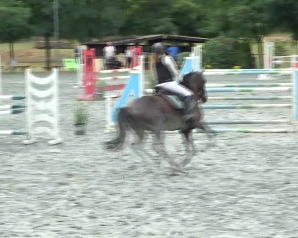 Reitturnier Horitschon 2024