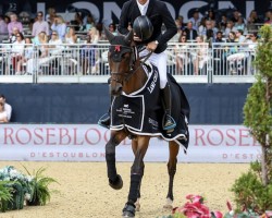 Caballo de salto Cajus 42 (Westfaliano, 2014, de Comme il Faut)