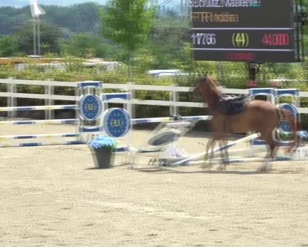 Reitturnier St. Margarethen 2024