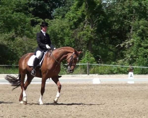 Reitturnier Düren 2013
