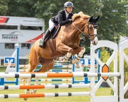 jumper Milchschnitte 3 (Mecklenburg, 2016, from C-Mocca D'Or)