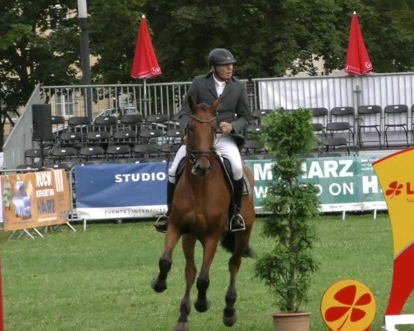 Reitturnier Aschersleben 2024