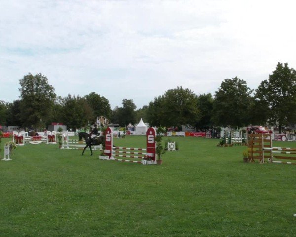 Reitturnier Aschersleben 2024