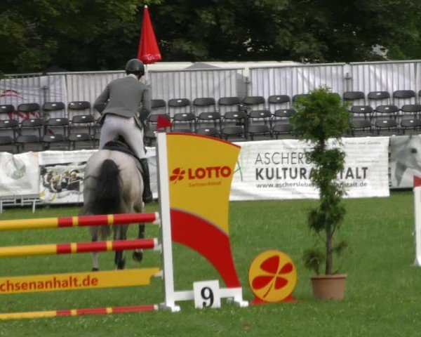 Reitturnier Aschersleben 2024