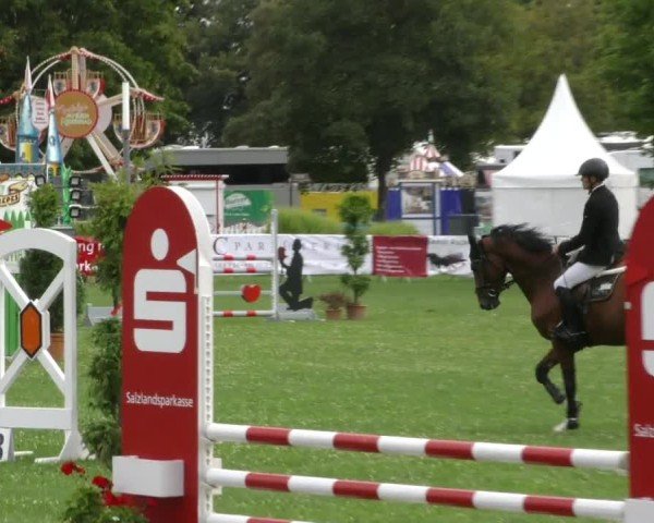 Reitturnier Aschersleben 2024
