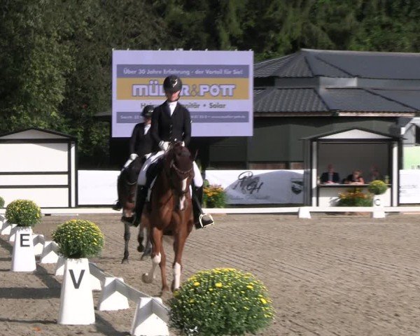 Reitturnier Solingen 2024