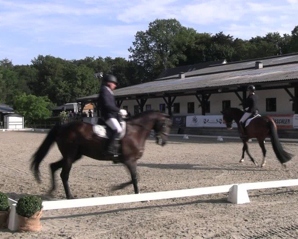 Reitturnier Solingen 2024