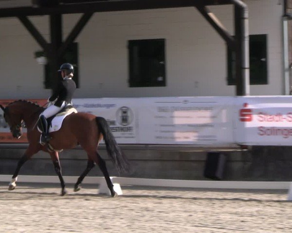 Reitturnier Solingen 2024