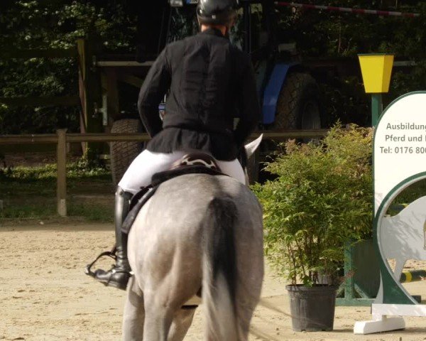 Reitturnier Walldorf/Winterheck 2024