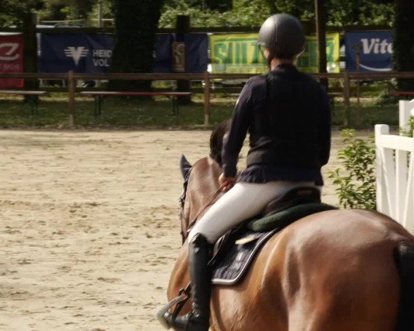 Reitturnier Walldorf/Winterheck 2024