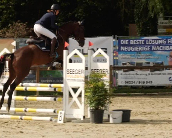 Reitturnier Walldorf/Winterheck 2024