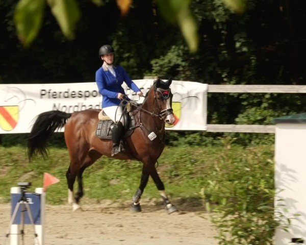 Reitturnier Walldorf/Winterheck 2024