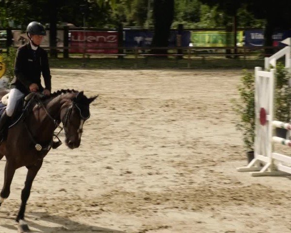 Reitturnier Walldorf/Winterheck 2024