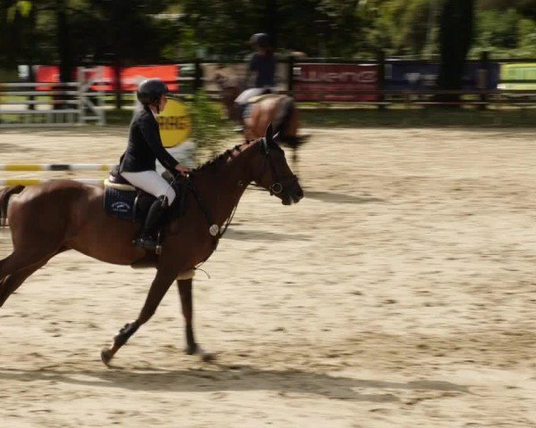 Reitturnier Walldorf/Winterheck 2024