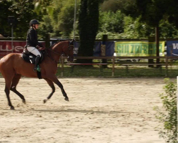 Reitturnier Walldorf/Winterheck 2024
