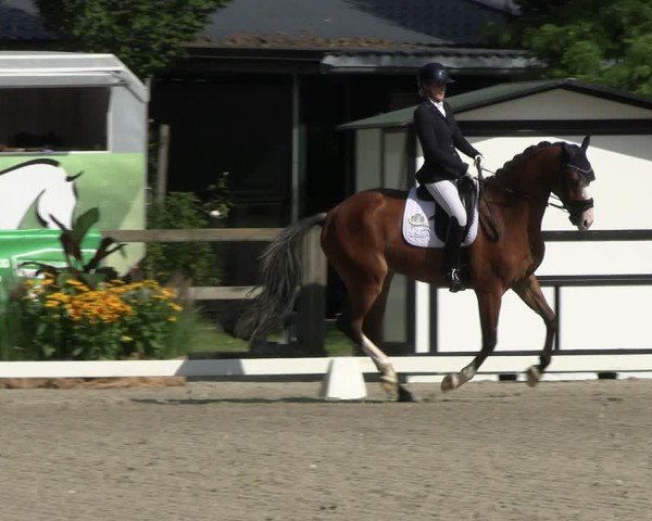 Reitturnier Solingen 2024