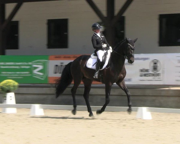 Reitturnier Solingen 2024