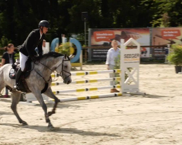 Reitturnier Walldorf/Winterheck 2024