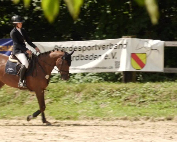 Reitturnier Walldorf/Winterheck 2024