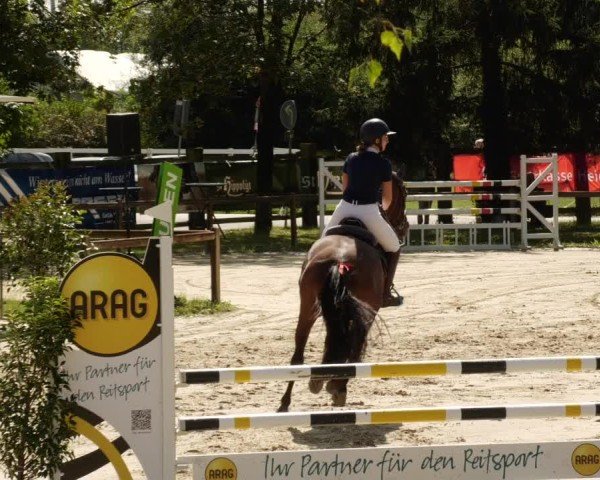 Reitturnier Walldorf/Winterheck 2024