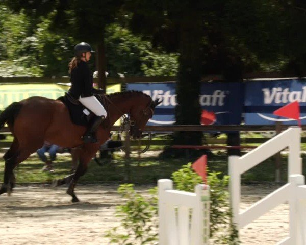 Reitturnier Walldorf/Winterheck 2024