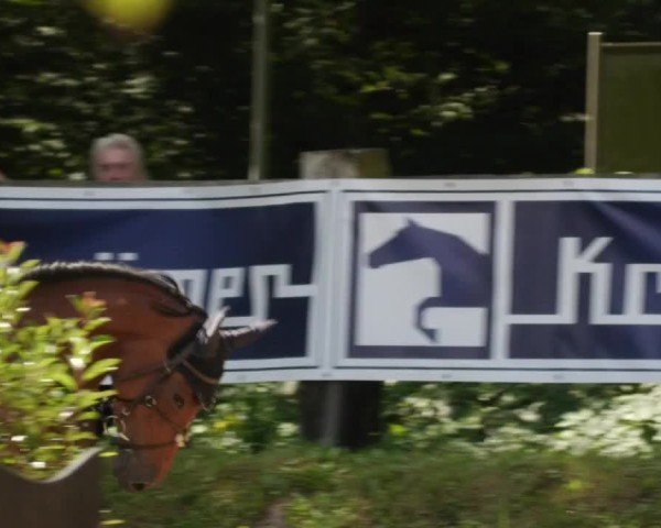Reitturnier Walldorf/Winterheck 2024