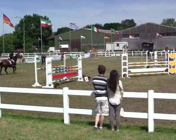 Reitturnier Düren 2013