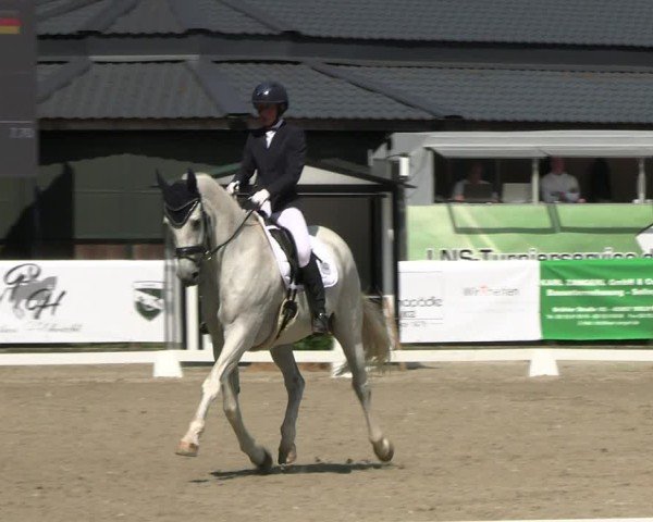 Reitturnier Solingen 2024