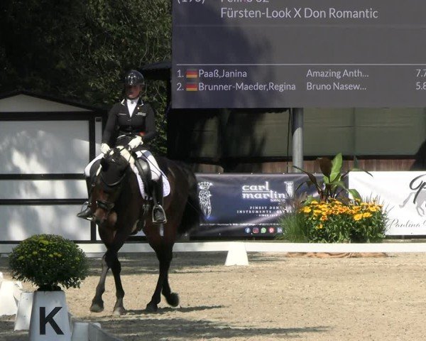 Reitturnier Solingen 2024