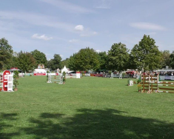 Reitturnier Aschersleben 2024