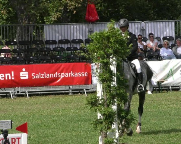 Reitturnier Aschersleben 2024