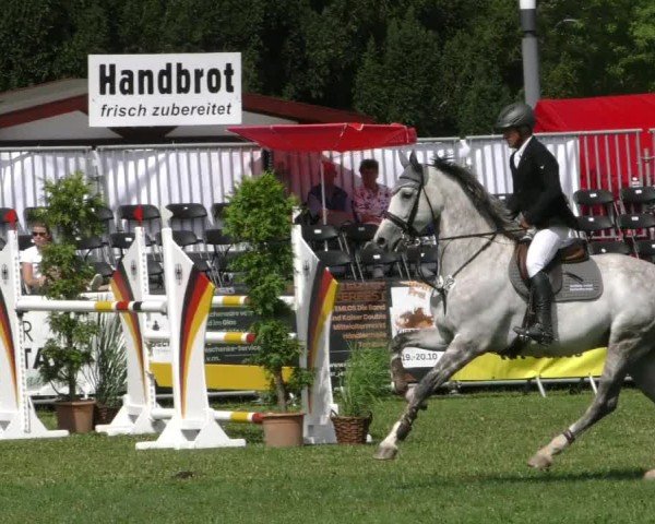 Reitturnier Aschersleben 2024
