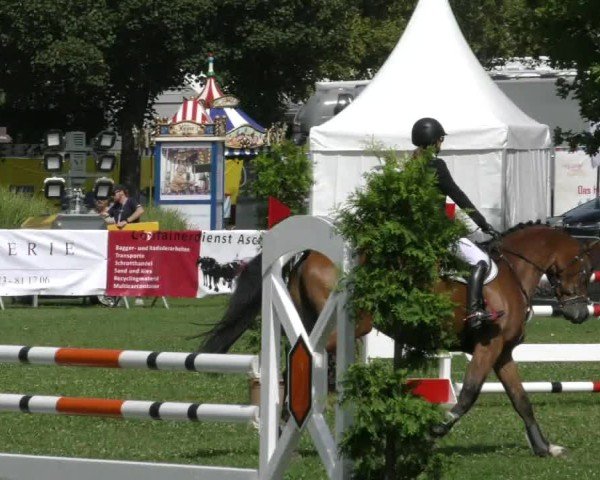 Reitturnier Aschersleben 2024
