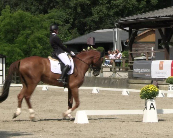 Reitturnier Solingen 2024