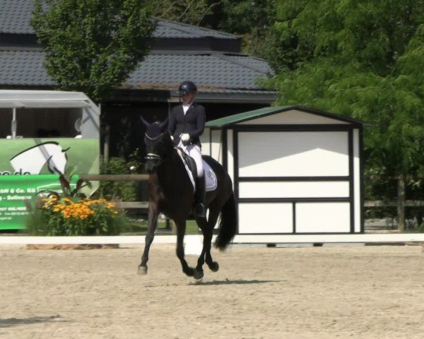 Reitturnier Solingen 2024