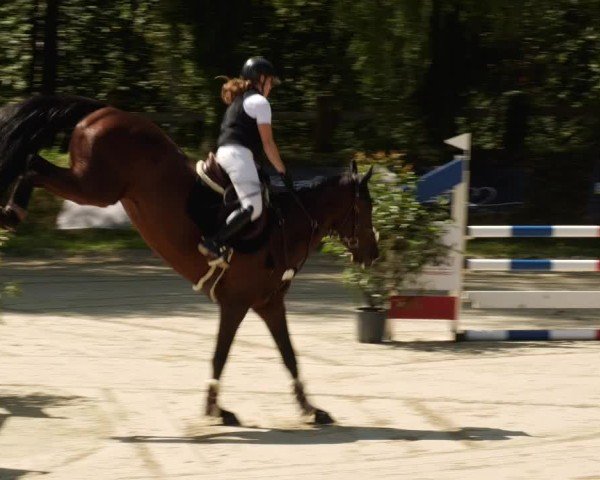 Reitturnier Walldorf/Winterheck 2024
