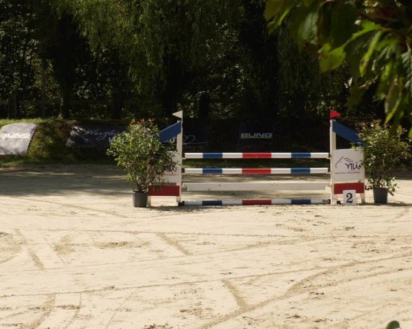 Reitturnier Walldorf/Winterheck 2024