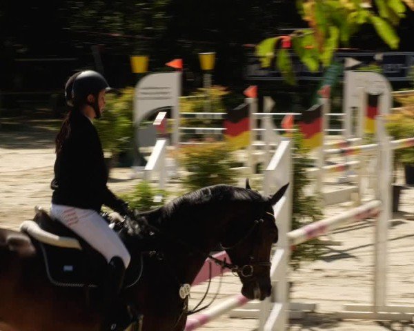 Reitturnier Walldorf/Winterheck 2024